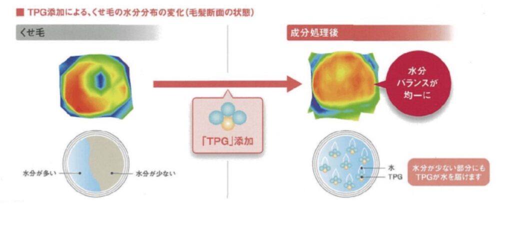 くせ毛の水分量図解