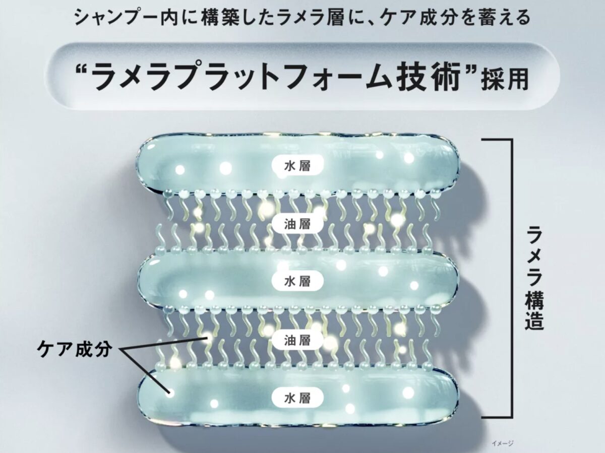 花王ジアンサーシャンプーのラメラ構造図解