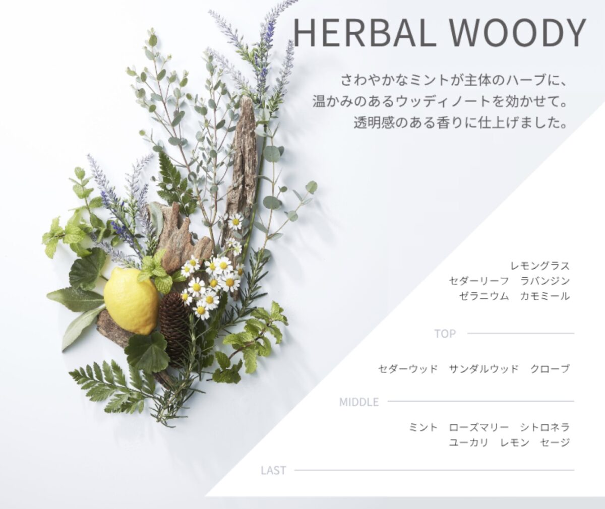 アンドビーシャンプーの香り図解