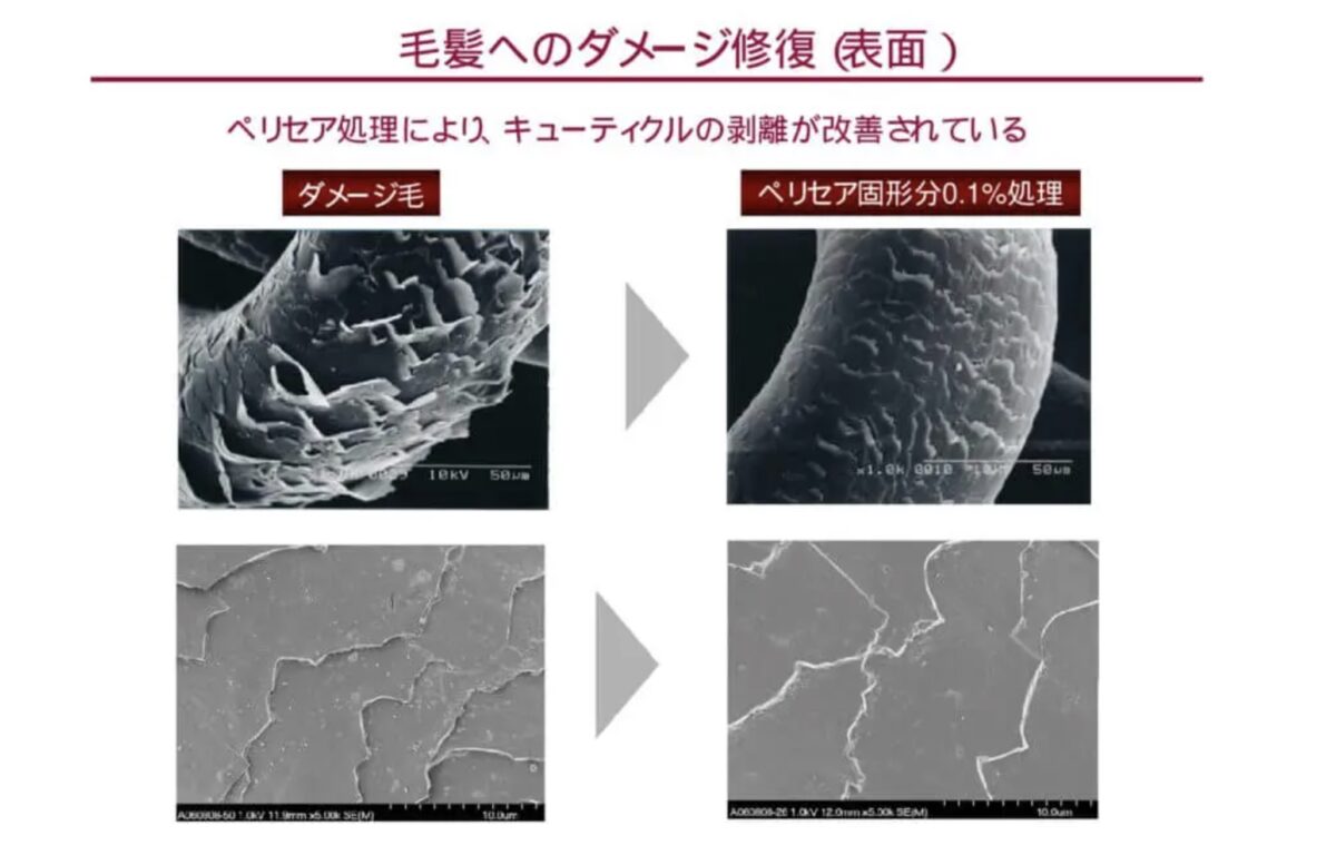 ペリセアの効果